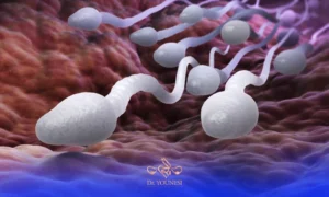 تقویت اسپرم برای باروری