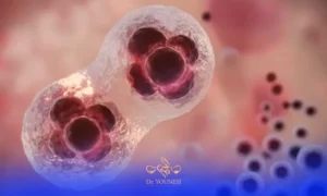 تقویت تخمک زنان برای باروری