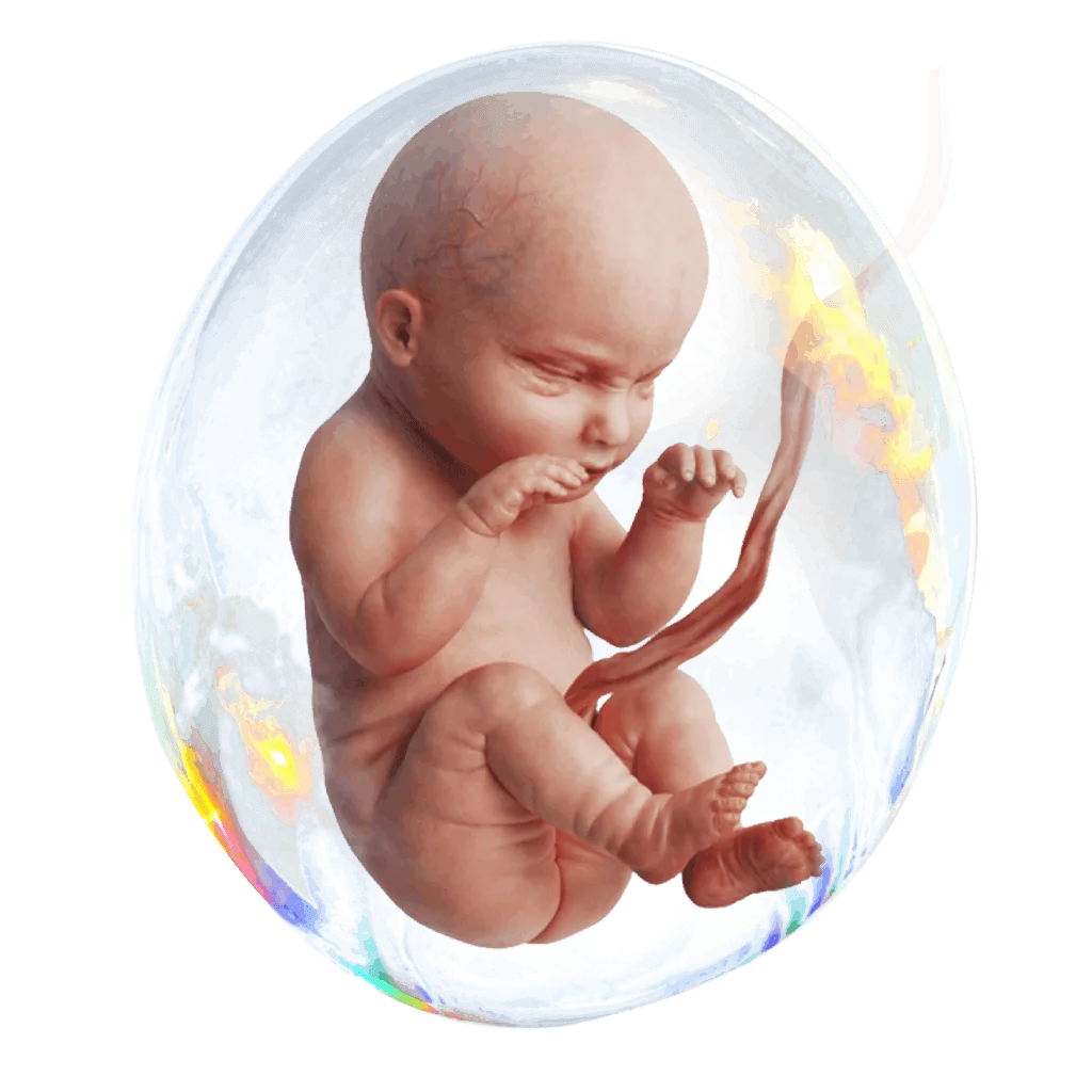 تصویر بچه ای در رحم مادر