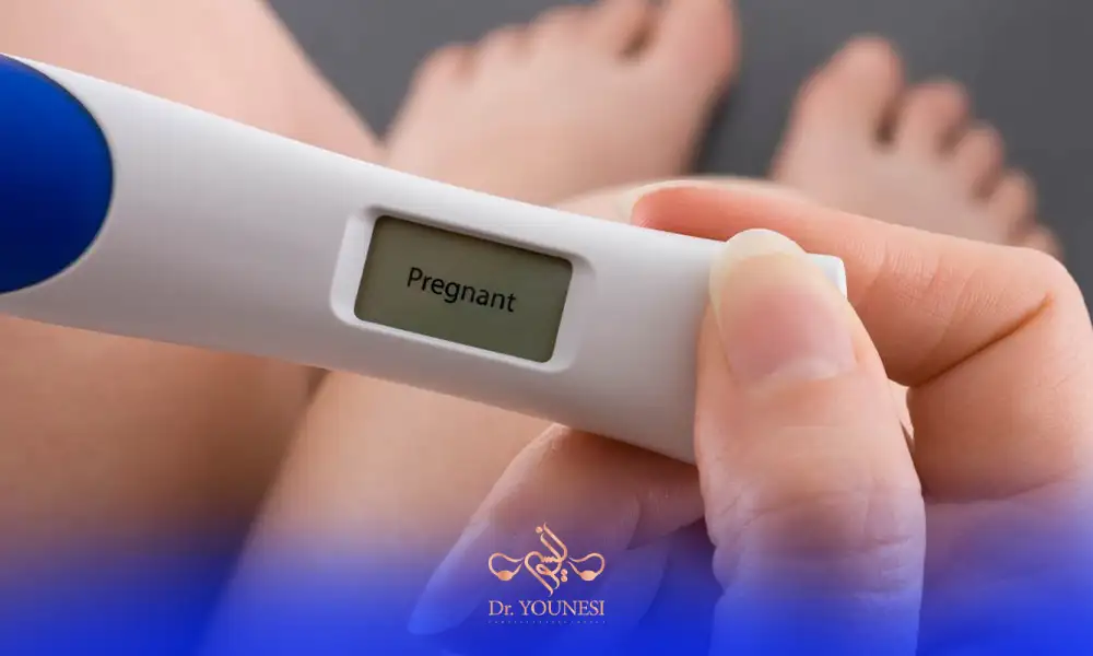 جواب مثبت بی بی چک دیجیتال