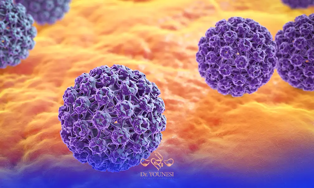 معرفی ویروس HPV
