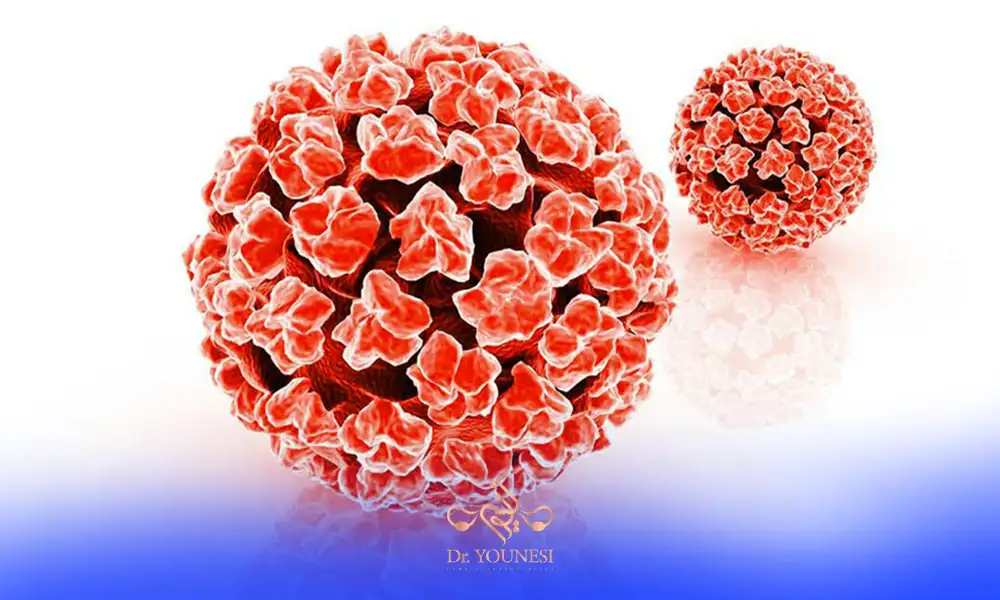 ویروس HPV در ابعاد بزرگ و کوچک