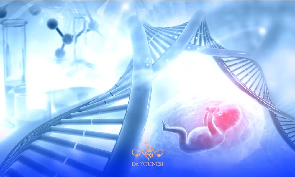 عکس جنین و ژنتیک در آزمایش ژنتیک قبل از بارداری