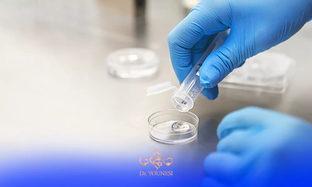 در حال تست بعد از ای وی اف، نکات مهم گرفتن نتیجه دقیق بعد از ای وی اف