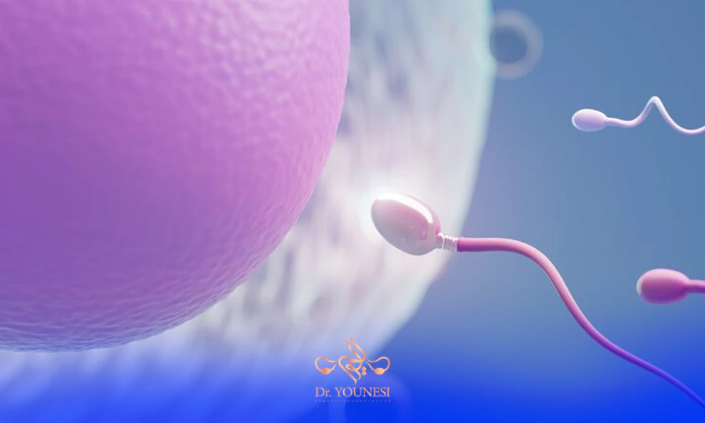 چرا انتخاب بهترین دکتر آی وی اف مهم است؟