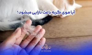 مو گربه و نازایی