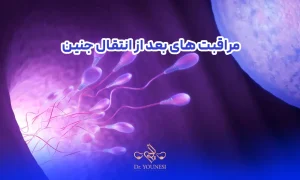 نقش مراقبت های بعد از انتقال جنین در موفقیت آی وی اف بار اول