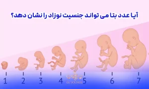 آیا عدد بتا می تواند جنسیت نوزاد را نشان دهد؟