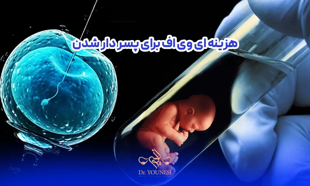 هزینه ای وی اف برای پسر دار شدن