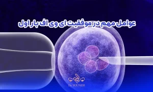 عوامل مهم در موفقیت ای وی اف بار اول