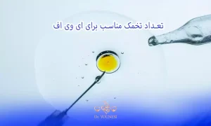 تعداد تخمک مناسب برای ای وی اف