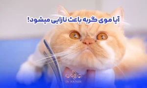 آیا موی گربه باعث نازایی میشود