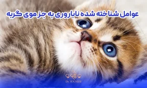 عوامل موثر در ناباروری به جز موی گربه