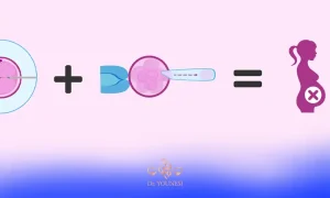 تعیین جنسیت با IVF صددرصد یعنی چه؟
