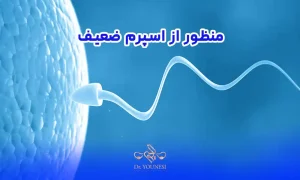 منظور از اسپرم ضعیف، سه فاکتور اصلی تشخیص اسپرم ضعیف در آزمایش اسپرم