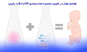هزینه تعیین جنسیت با IVF صددرصد