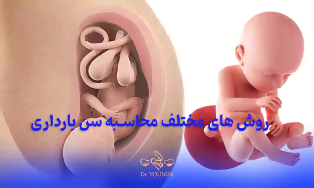 روش های مختلف محاسبه سن بارداری به صورت آنلاین و رایگان