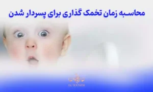 محاسبه آنلاین زمان تخمک گذاری برای پسردار شدن