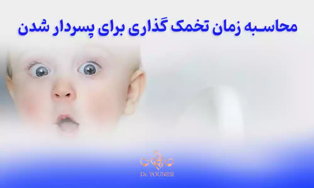محاسبه آنلاین زمان تخمک گذاری برای پسردار شدن