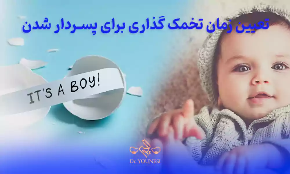 چرا تعیین دقیق زمان تخمک گذاری برای پسردار شدن حیاتی است