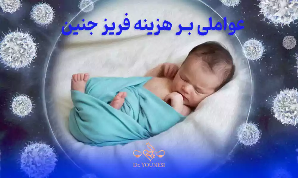 چه عواملی بر هزینه فریز جنین تأثیر می گذارند؟