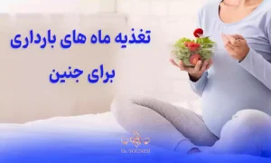 تغذیه ماه های بارداری برای جنین