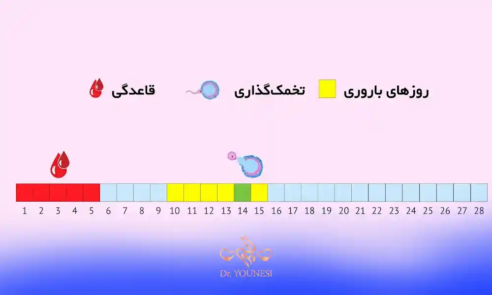 استفاده از کیت های تشخیص تخمک گذاری
