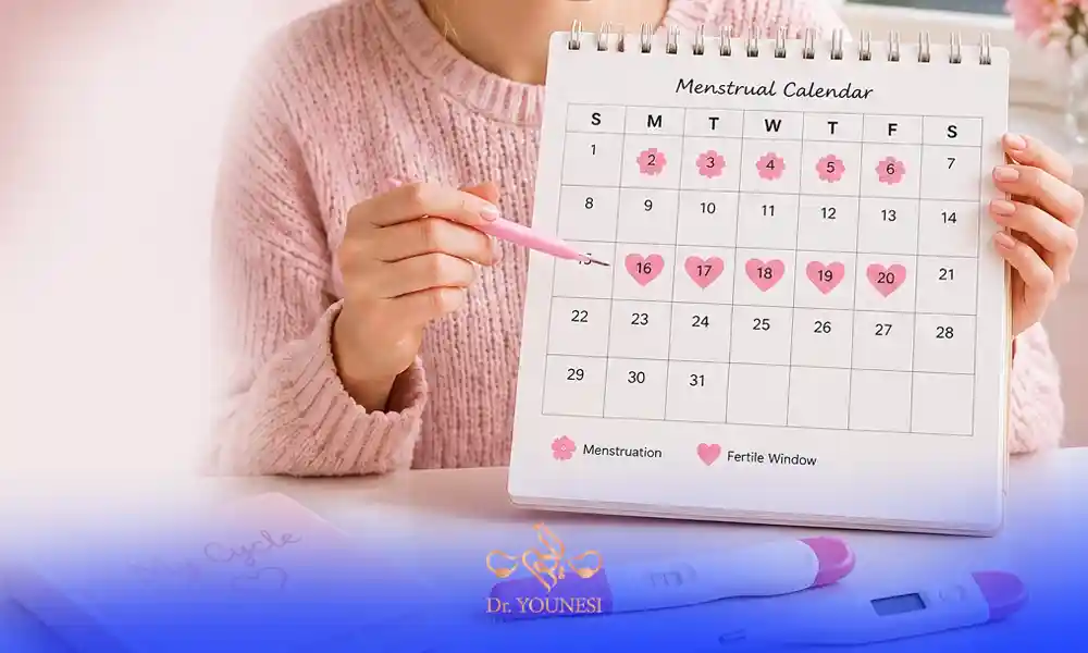 محاسبه تاریخ تخمک گذاری چگونه انجام می شود